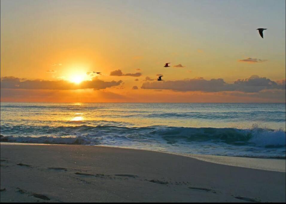Amazing Beachfront Apartment แคนคูน ภายนอก รูปภาพ